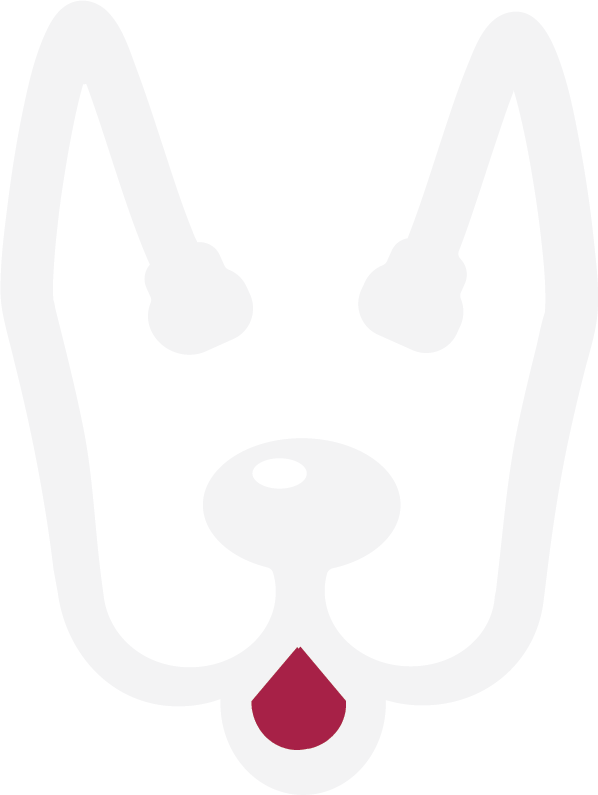 ד״ר נתן ג׳רארד שטיין