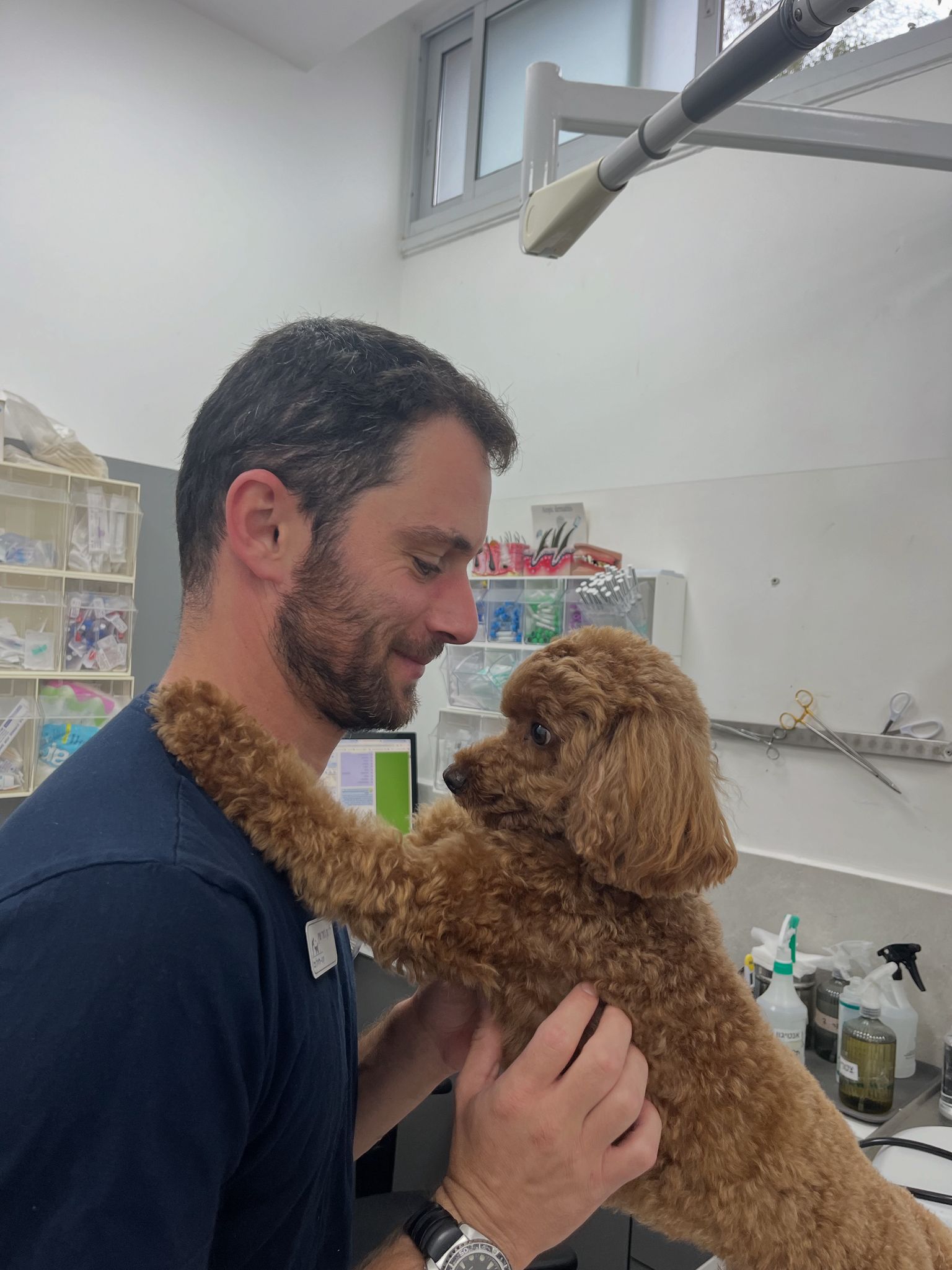 ד״ר נתן ג׳רארד שטיין