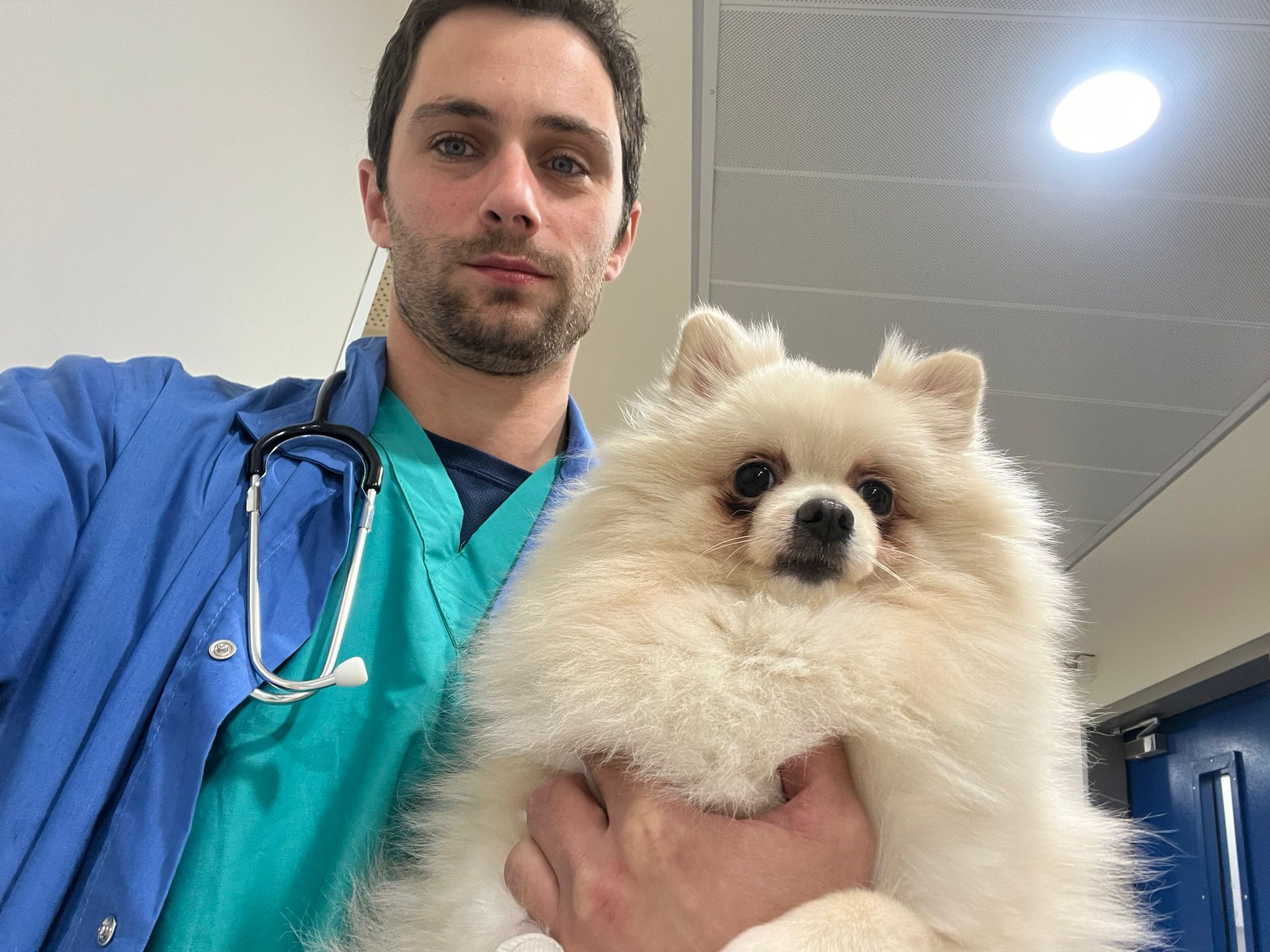 ד״ר נתן ג׳רארד שטיין