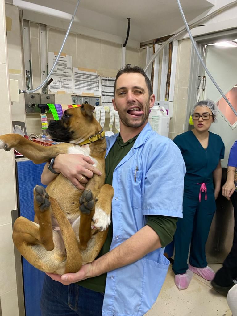 ד״ר נתן ג׳רארד שטיין